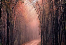 [NBA]亚历山大31分 雷霆客场轻取老鹰.