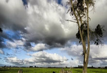 IG队长、LOL全球总决赛冠军Rookie拿中国绿卡，已在中国效力10年.