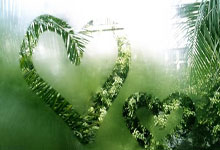 顺义区 网球场 网球馆.